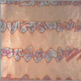[X00000376] Cuivre Oxydé 231 95 x 95 mm (copie)